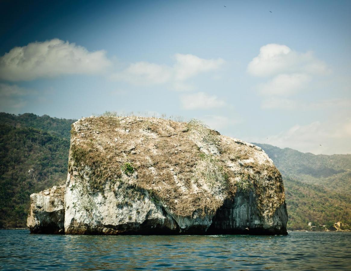 Joint Boutique Hotel Zona Romantica Puerto Vallarta Exteriör bild